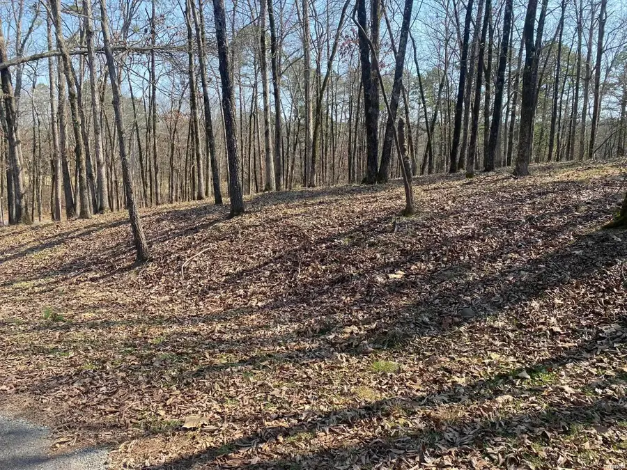 Lot 1687 Westchester Court, Hot Springs, AR 71913 - #2