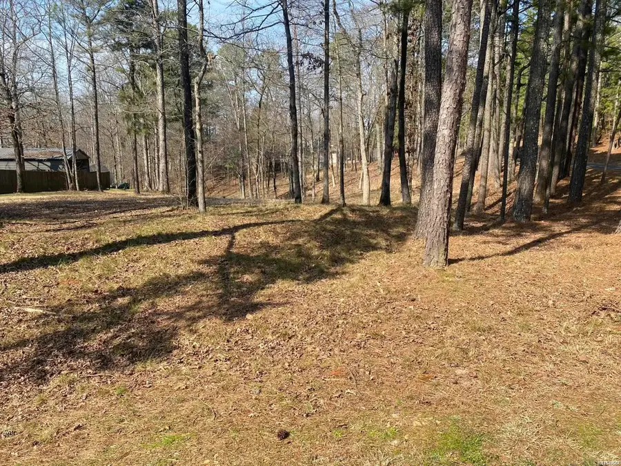 Lot 3573A Coolwood Terrace, Hot Springs, AR 71913 - Image #2
