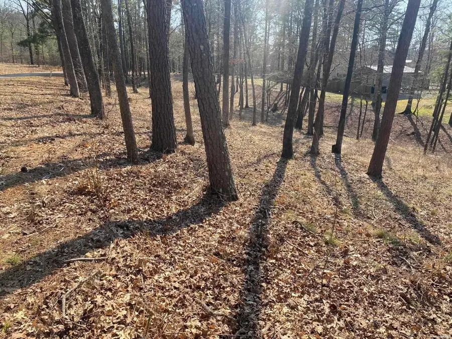 Lot 3573A Coolwood Terrace, Hot Springs, AR 71913 - Image #3
