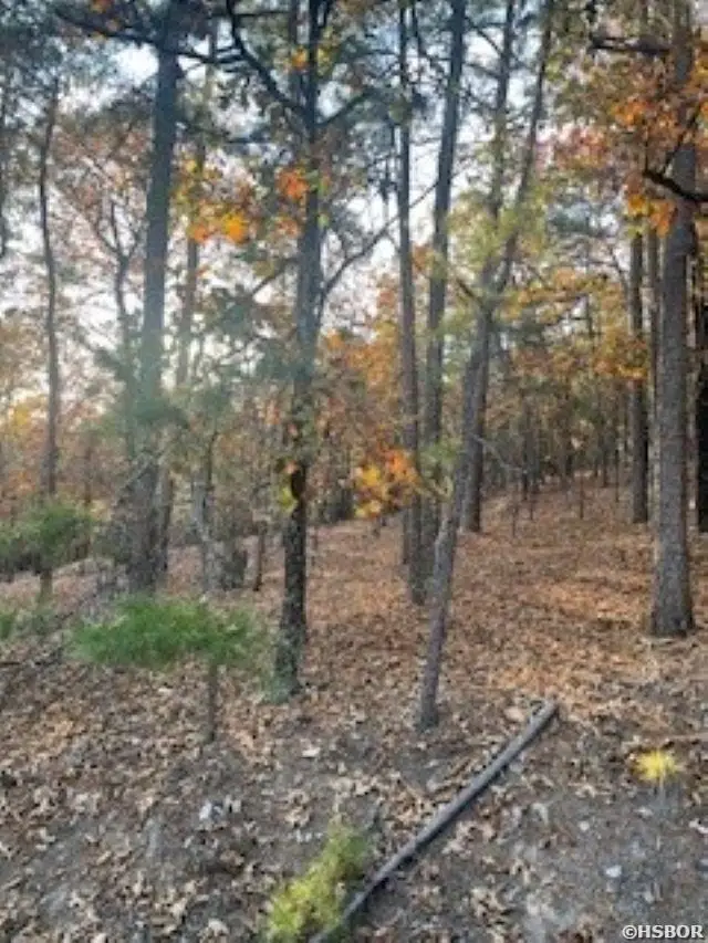 0 Rustic Hills, Royal, AR 71968 - Image #3