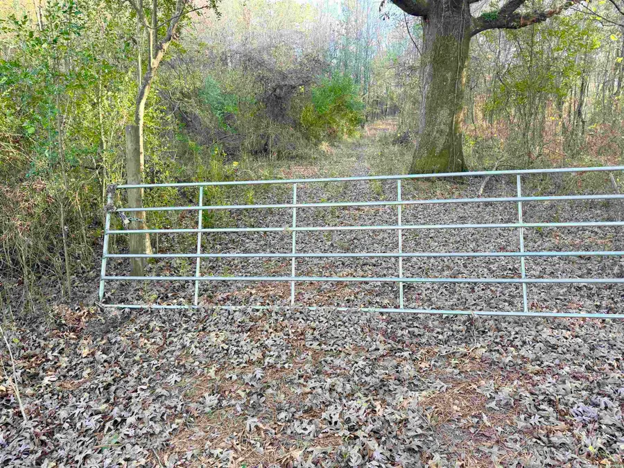 XXX Rock Creek Road, Glenwood, AR 71943 - Image #3