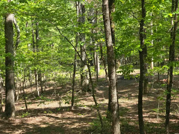 Lot 3305 Ohio Drive, Hot Springs, AR 71913