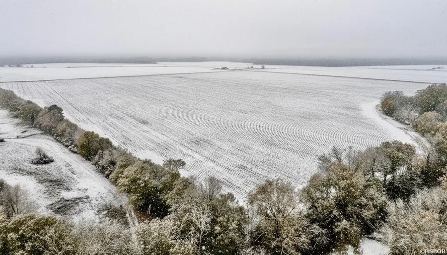 TBD Countess, Brown Springs, AR 71923 - Image #2