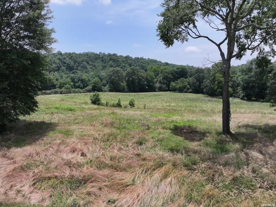 Lots 3 & 4 Riverview Drive, Glenwood, AR 71943 - #3