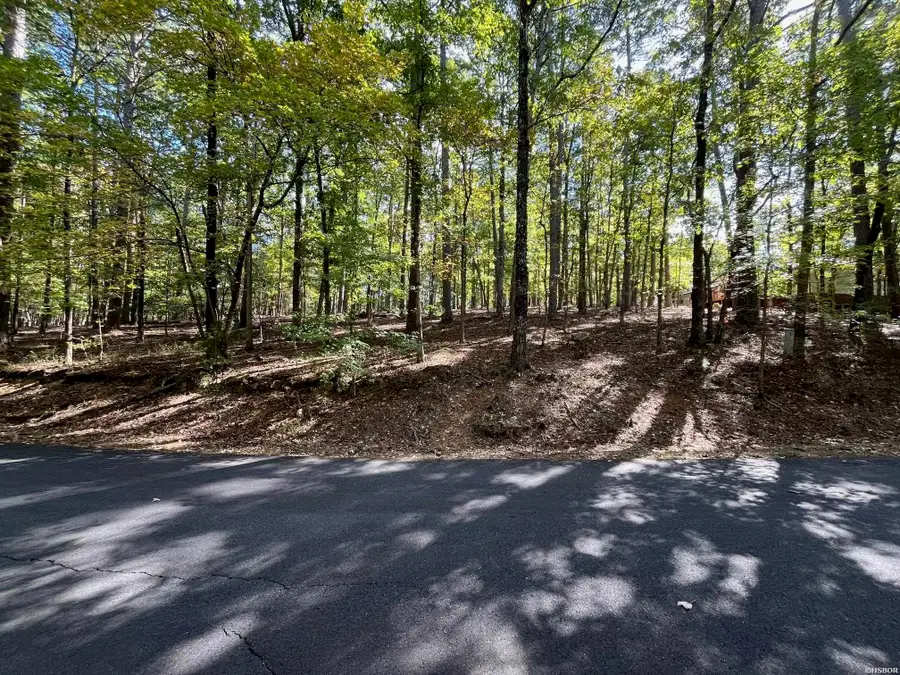 XXX Gerona Circle, Hot Springs Village, AR 71909 - Image #2
