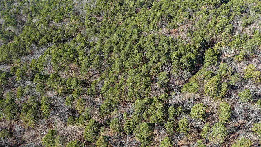 68 La Palabra Way, Hot Springs Village, AR 71909 - Image #3