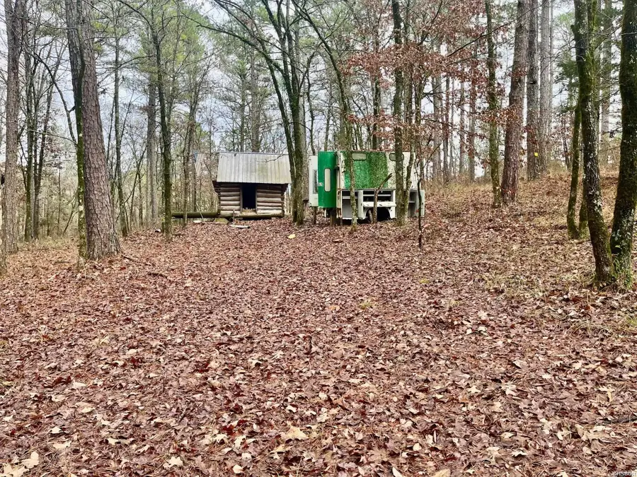 930 Cox Creek, Valley, AR 71921 - #3