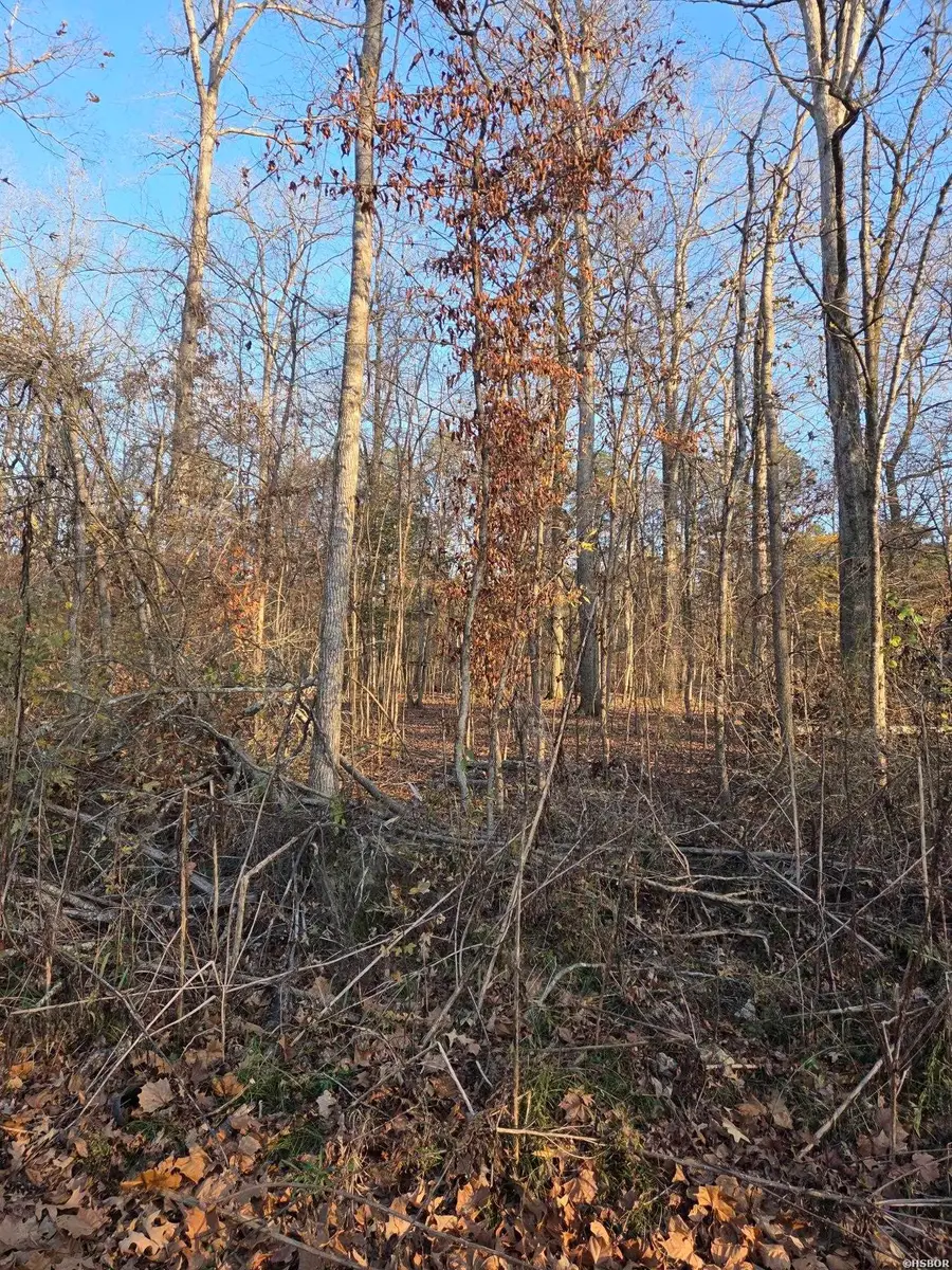 2764 Lost Lake, Hot Springs, AR 71913 - Image #2