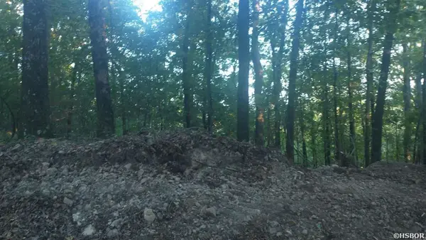 Burnham Mountai E Hwy 8, Glenwood, AR 71943