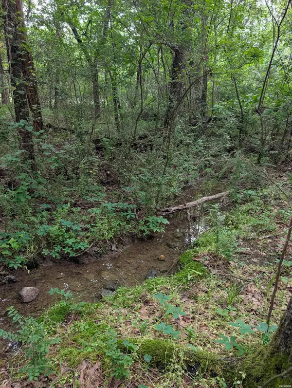 42 San Pablo Way, Hot Springs Village, AR 71909