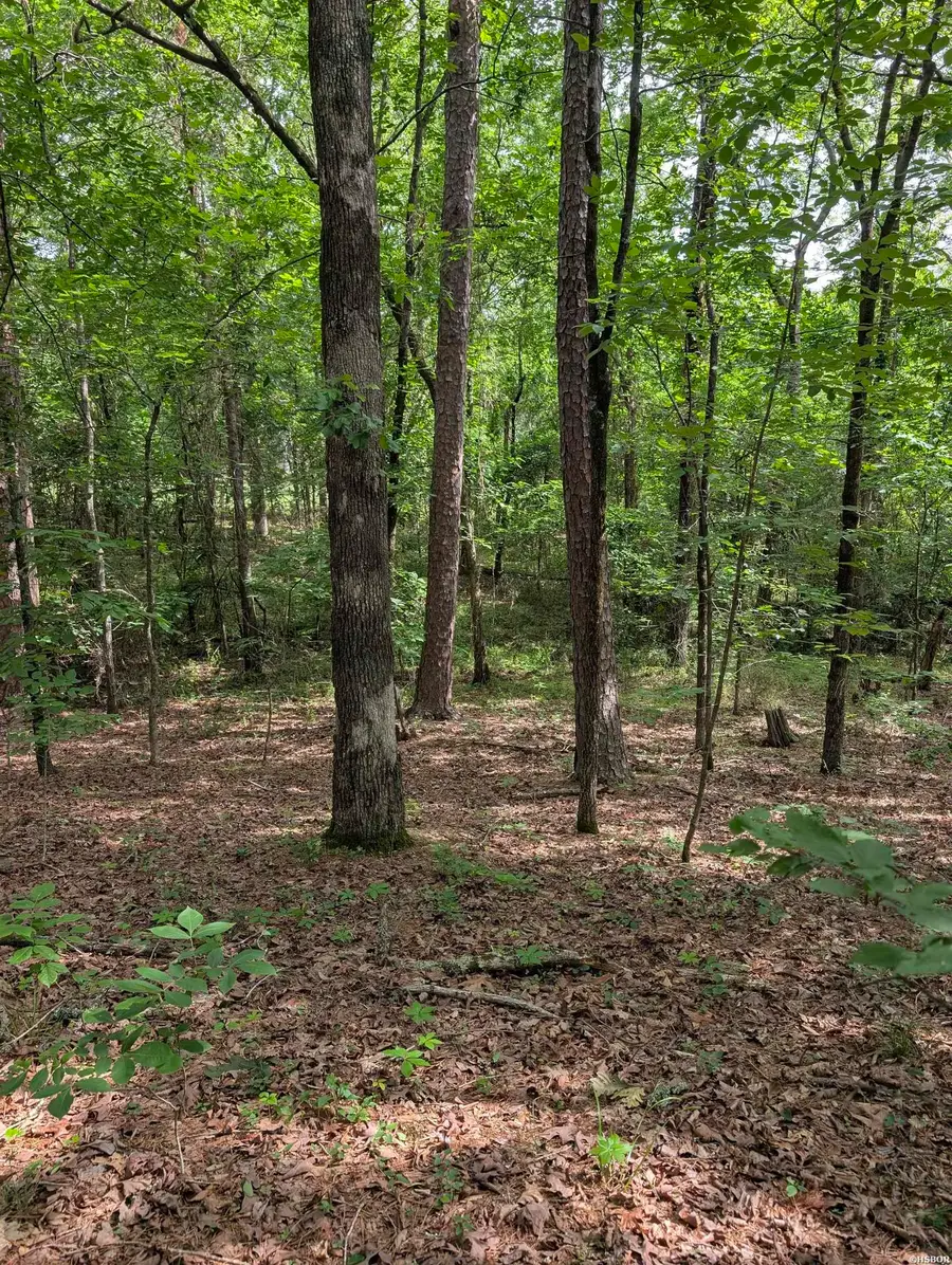 42 San Pablo Way, Hot Springs Village, AR 71909 - Image #2