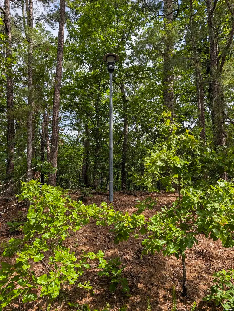 42 San Pablo Way, Hot Springs Village, AR 71909 - Image #3