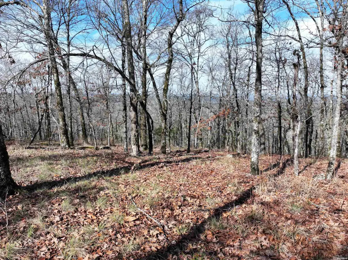 3373 Hwy 347, Bismarck, AR 71929 - Image #1