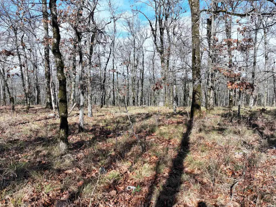 3373 Hwy 347, Bismarck, AR 71929 - Image #2