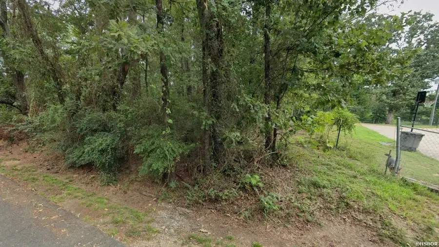 317 Langston Street, Hot Springs, AR 71901 - Image #2