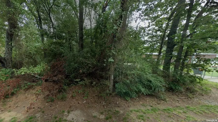 317 Langston Street, Hot Springs, AR 71901 - Image #3