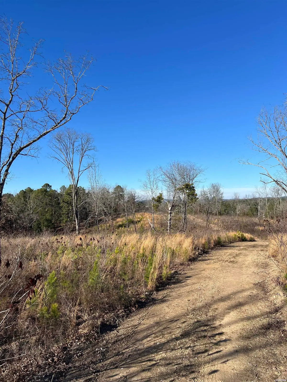 TBD Stardust Trail, Hot Springs, AR 71913 - Image #1