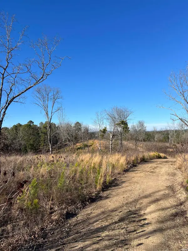 TBD Stardust Trail, Hot Springs, AR 71913