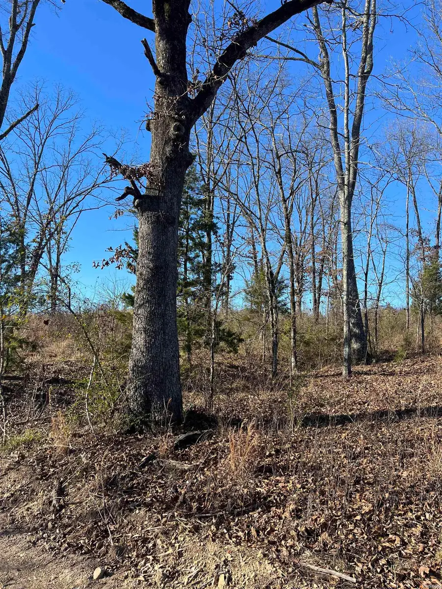 TBD Stardust Trail, Hot Springs, AR 71913 - Image #3