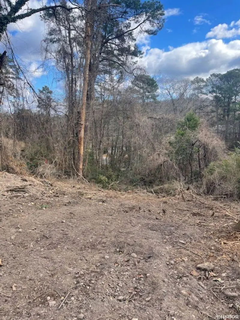 000 Hallman Street, Hot Springs, AR 71901 - #2