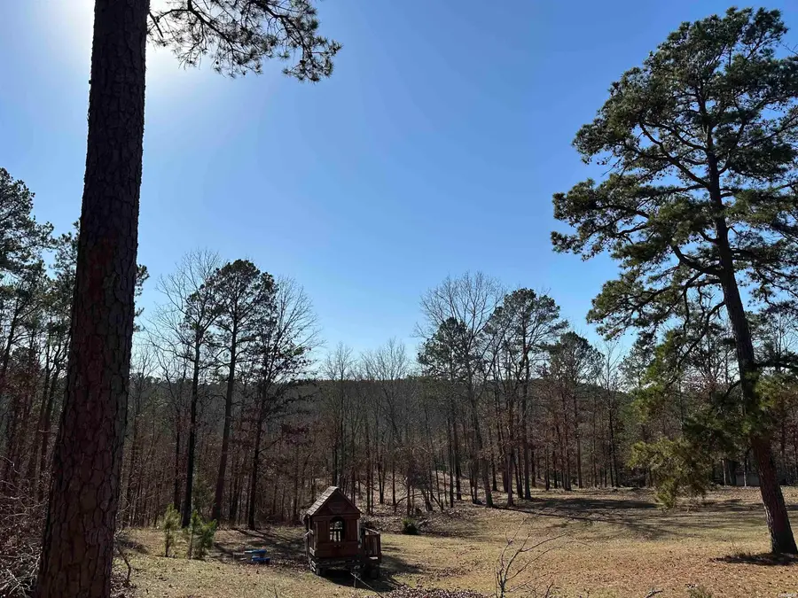 600 Timberlake Drive, Royal, AR 71968 - Image #2