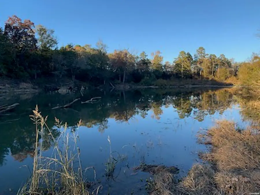 40 Shepards Glen, Oden, AR 71961 - #2