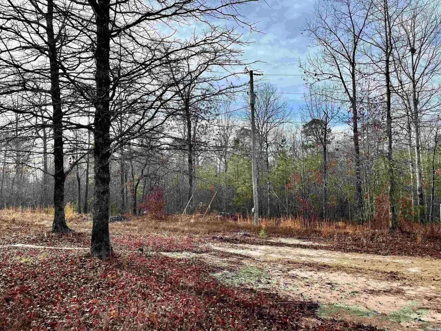 6800 Corrigan Road, Mabelvale, AR 72103 - #2