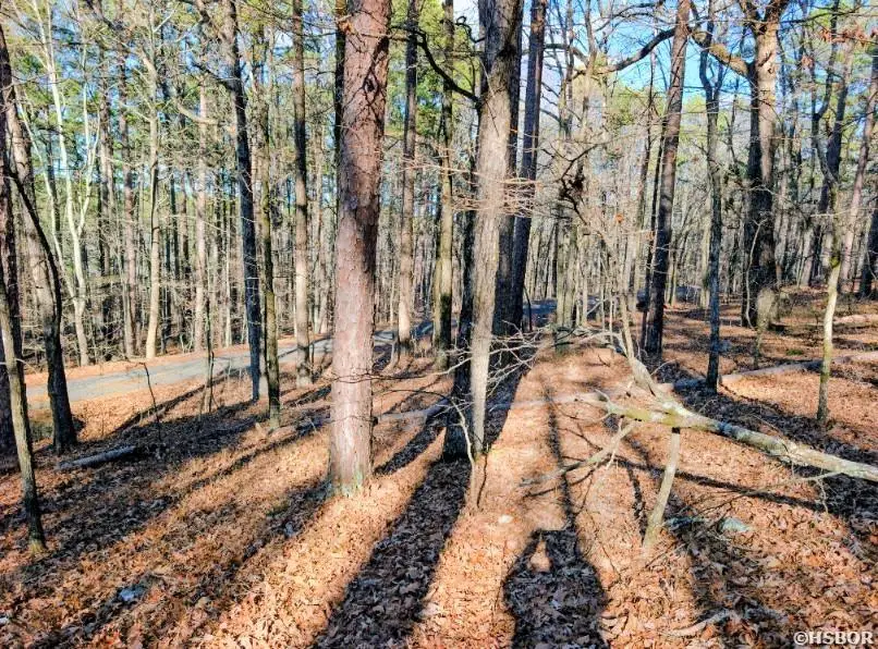 TBD Astorga Circle, Hot Springs Village, AR 71909 - #2