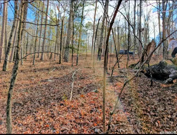 TBD Nova Lane, Hot Springs Village, AR 71909