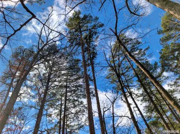 TBD Valencia Lane, Hot Springs Village, AR 71909