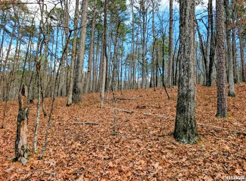TBD Valencia Lane, Hot Springs Village, AR 71909 - #2