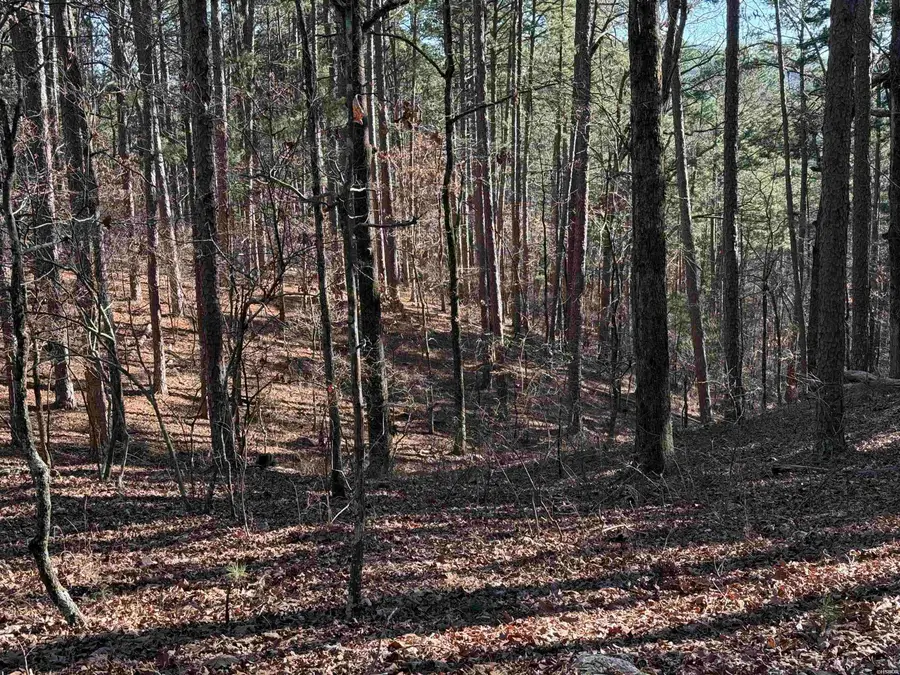 48 La Palabra, Hot Springs Village, AR 71909 - #2