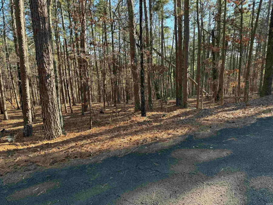 48 La Palabra, Hot Springs Village, AR 71909 - #3