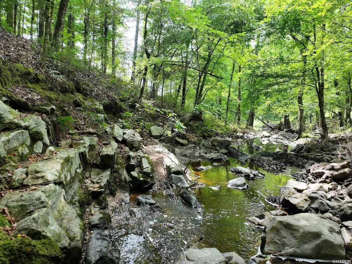 TBD Ebenezer, Amity, AR 71921 - #1