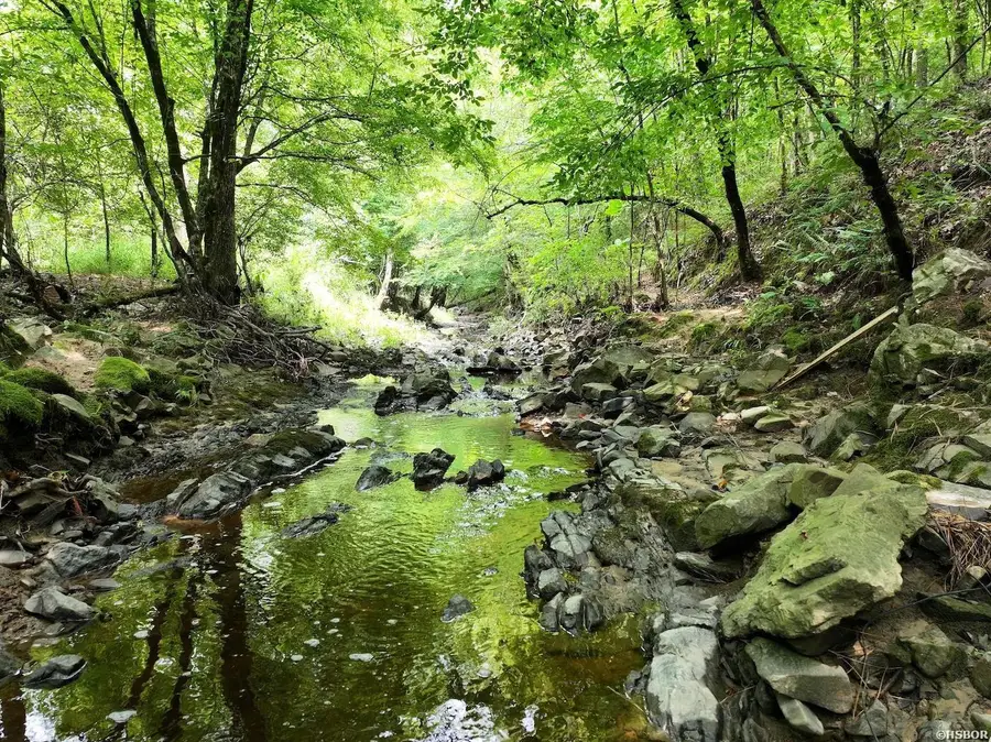 TBD Ebenezer, Amity, AR 71921 - #2