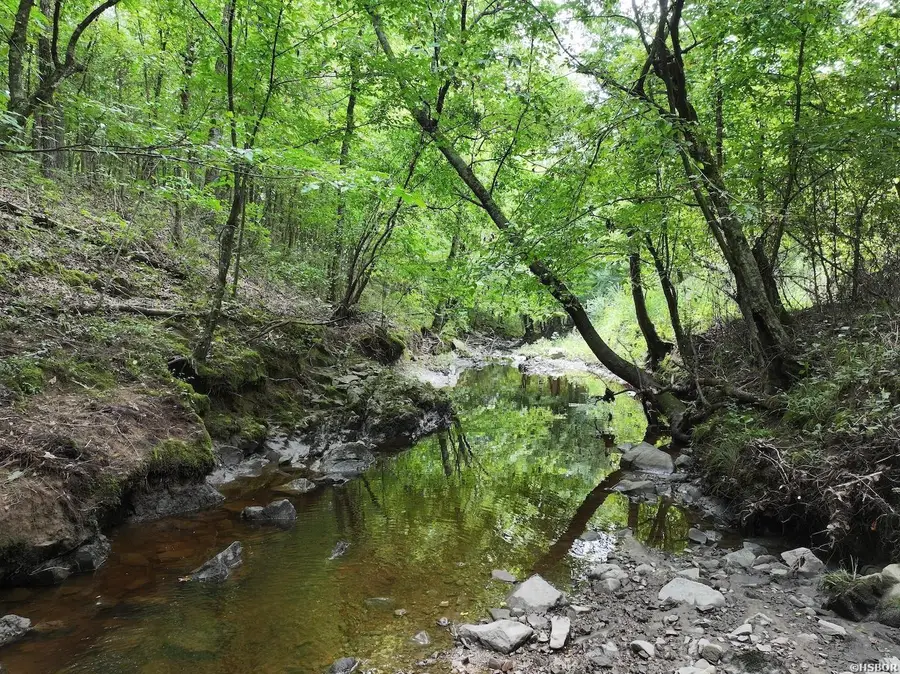 TBD Ebenezer, Amity, AR 71921 - #3