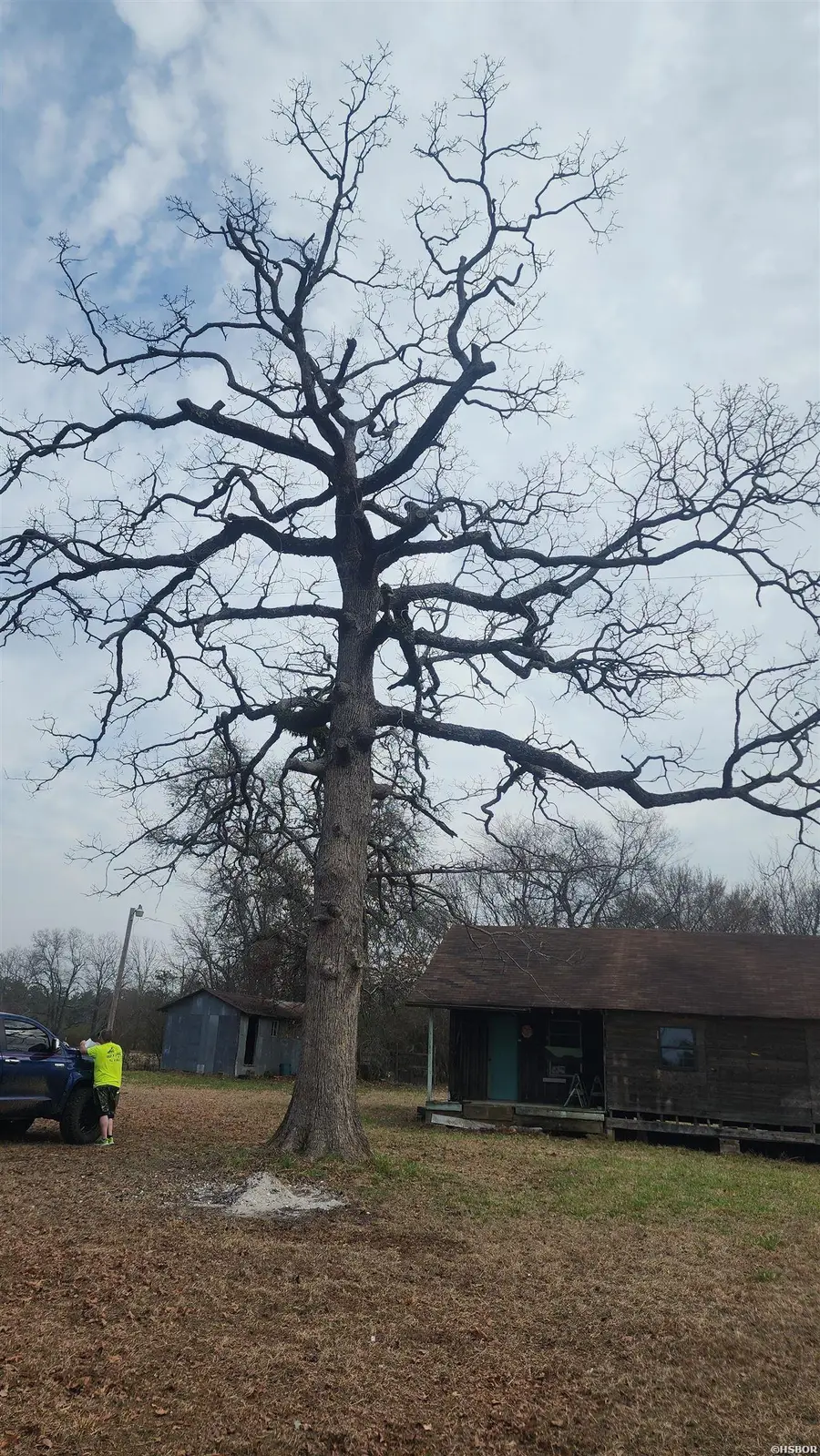 318 Dallas Rd 223, Sparkman, AR 71763 - #3