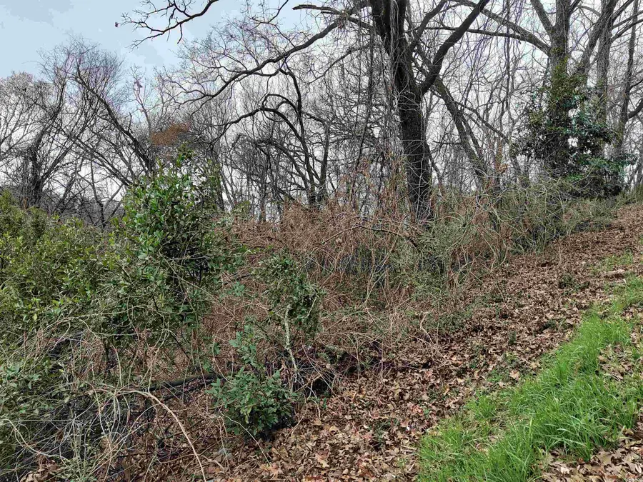 TBD Wade Street, Hot Springs, AR 71901 - #3