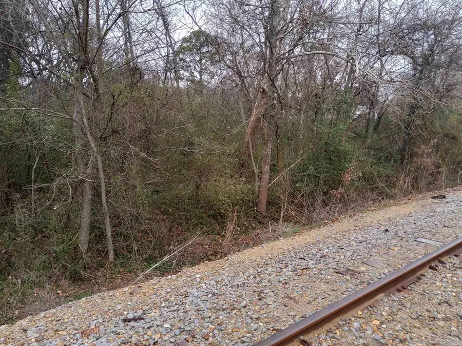 TBD Alonzo Street, Hot Springs, AR 71913 - #2