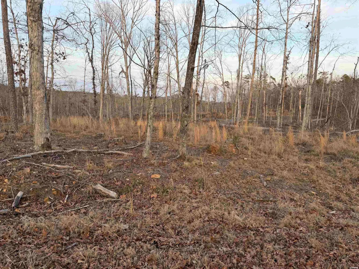 TBD Burgos Way, Hot Springs Village, AR 71909 - #1