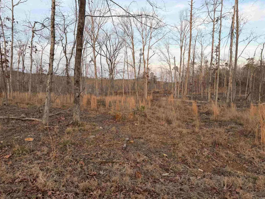 TBD Burgos Way, Hot Springs Village, AR 71909 - #2