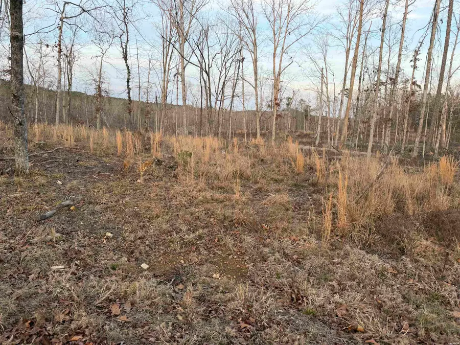 TBD Burgos Way, Hot Springs Village, AR 71909 - #3