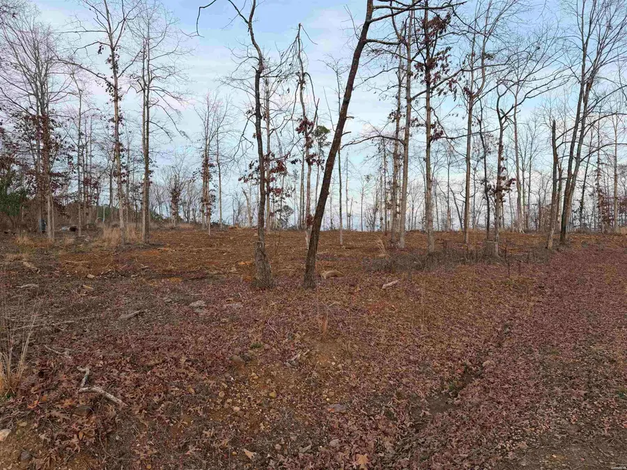 0 Burgos Lane, Hot Springs Village, AR 71909 - #2