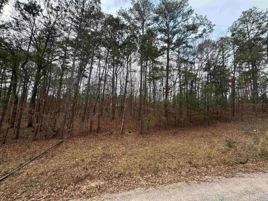 To BD Doubloon Circle, Hot Springs, AR 71913 - #3