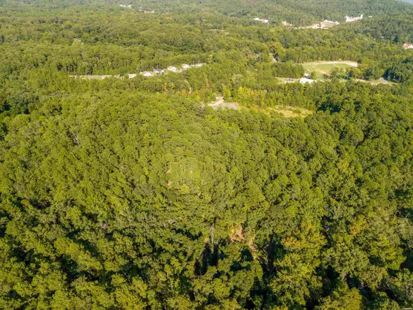 000 Maple Terrace, Hot Springs, AR 71901