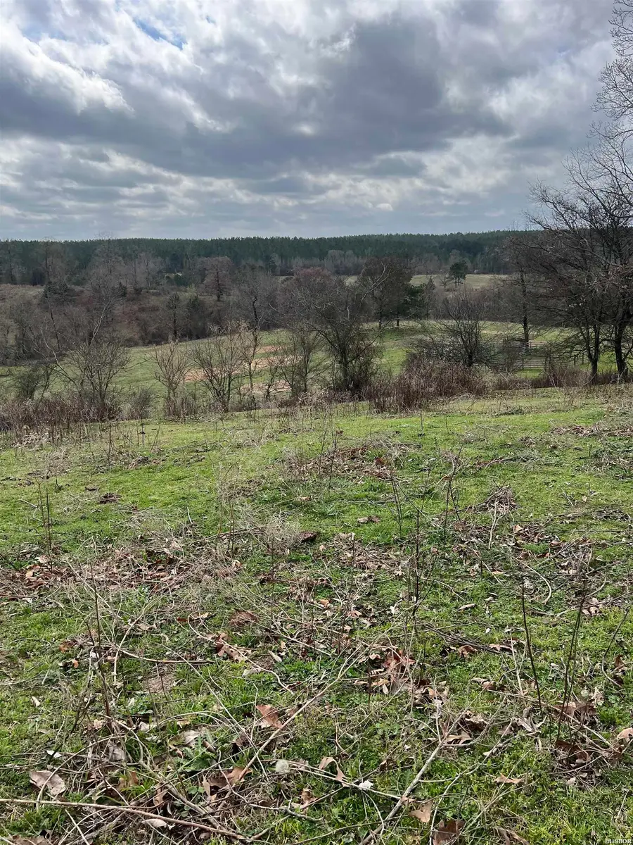 xx Shawn, Newhope, AR 71959 - #3