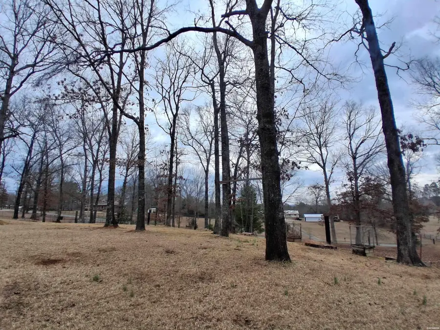 435 Meadow Creek, Royal, AR 71968 - #2