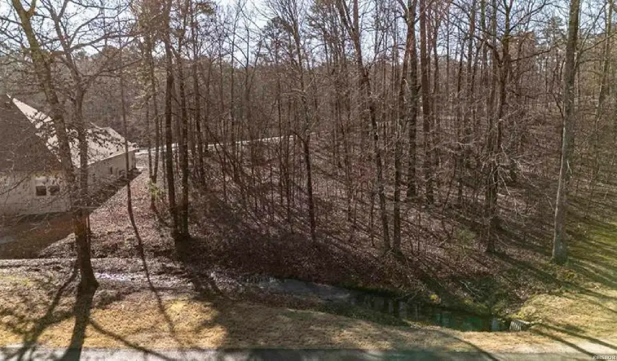 lot 19 Archidona Lane, Hot Springs Village, AR 71909 - #2
