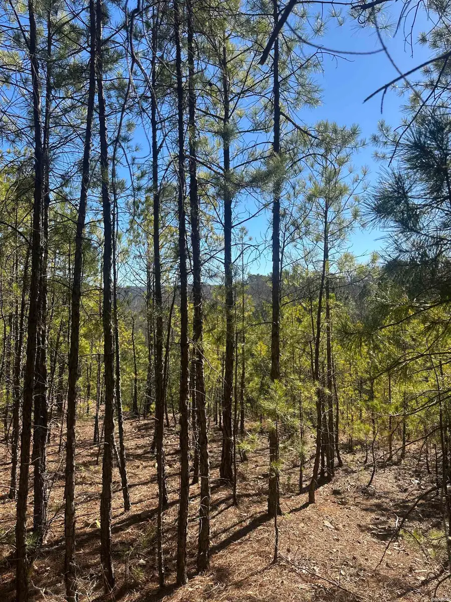 00M Walnut Valley Road, Hot Springs Village, AR 71909 - #2