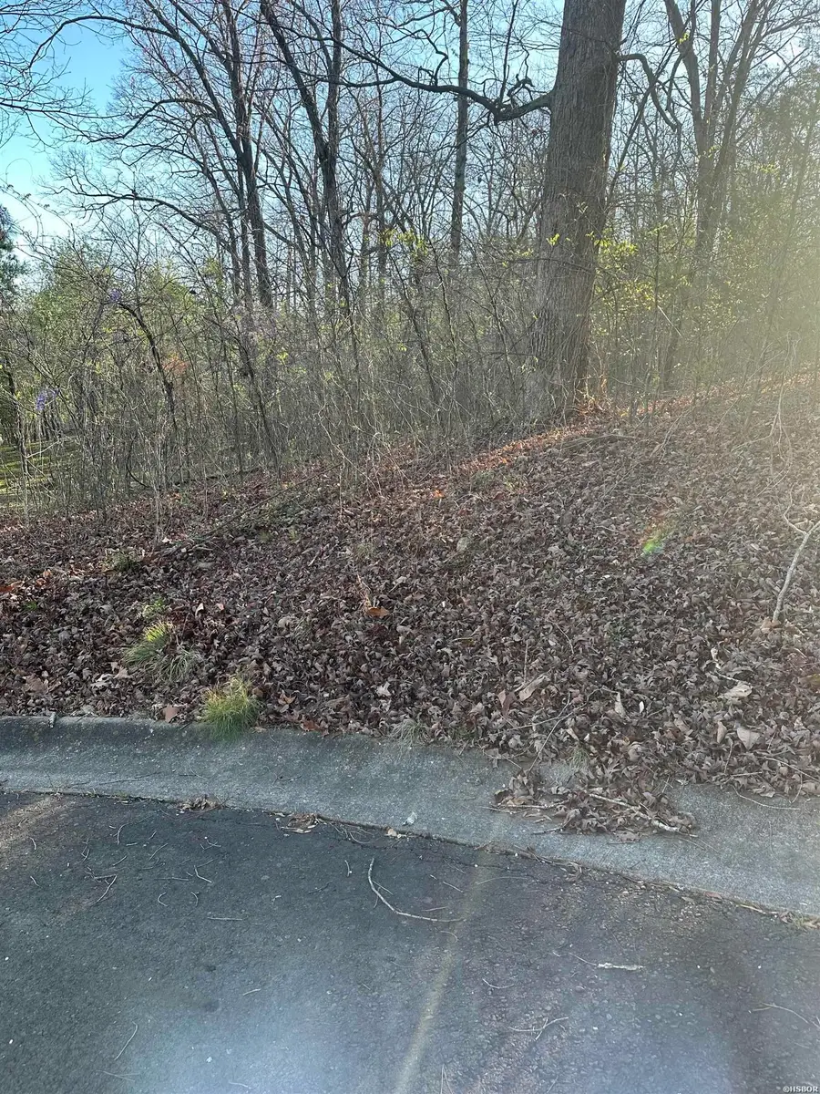 TBD Aprilgracecourt, Hot Springs, AR 71901 - #3